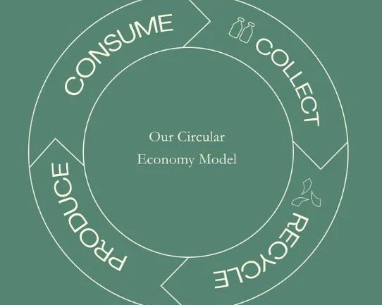 What is Circular Economy and Why It Matters in Sustainable Fashion