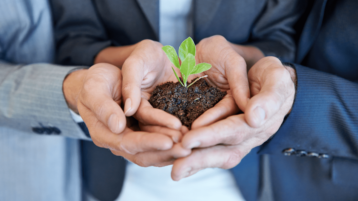 Why Sustainable Clothing is on the Rise for Companies in 2025