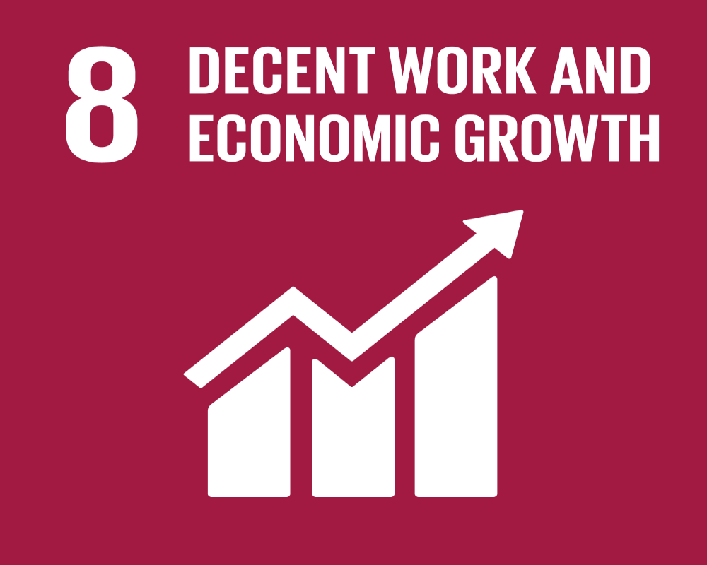 Decent Work &amp; Economic Growth