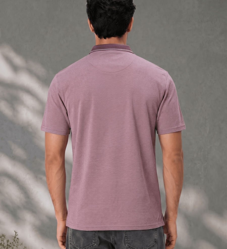 wine-melange-polo-t-shirt-with-tipping-collar-for-men-3995416.png