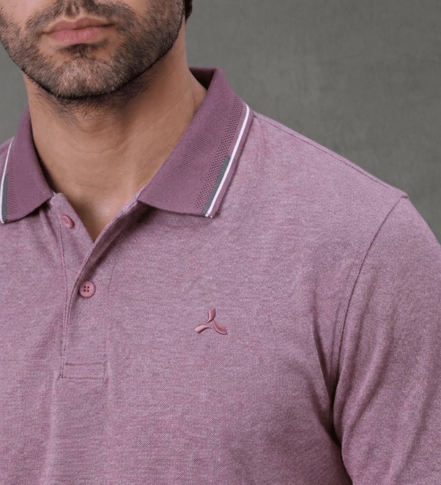 wine-melange-polo-t-shirt-with-tipping-collar-for-men-6738048.png