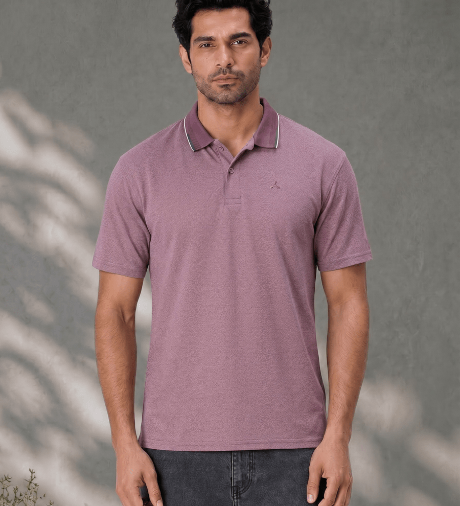 wine-melange-polo-t-shirt-with-tipping-collar-for-men-6947776.png
